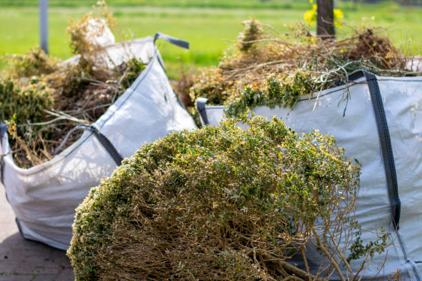 Best Garage Cleanout Services  in South Haven, IN