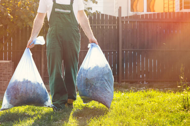 Best Construction Debris Removal  in South Haven, IN