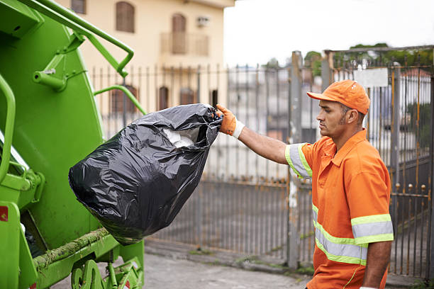 Best Yard Waste Removal  in South Haven, IN