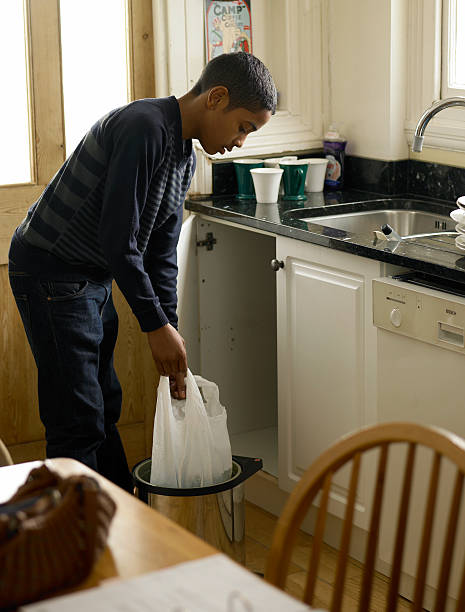 Best Junk Hauling Services  in South Haven, IN
